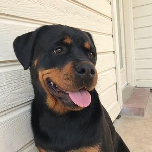 Meet your Posher, Zane